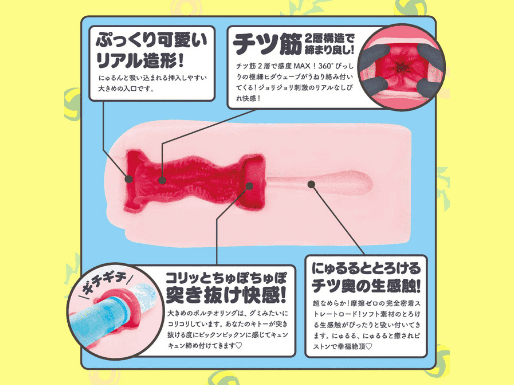 極ヒダにゅるるの内部構造