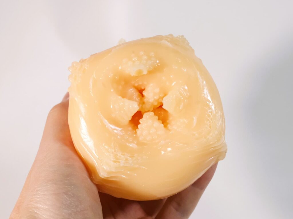 マンダラの半裏返し