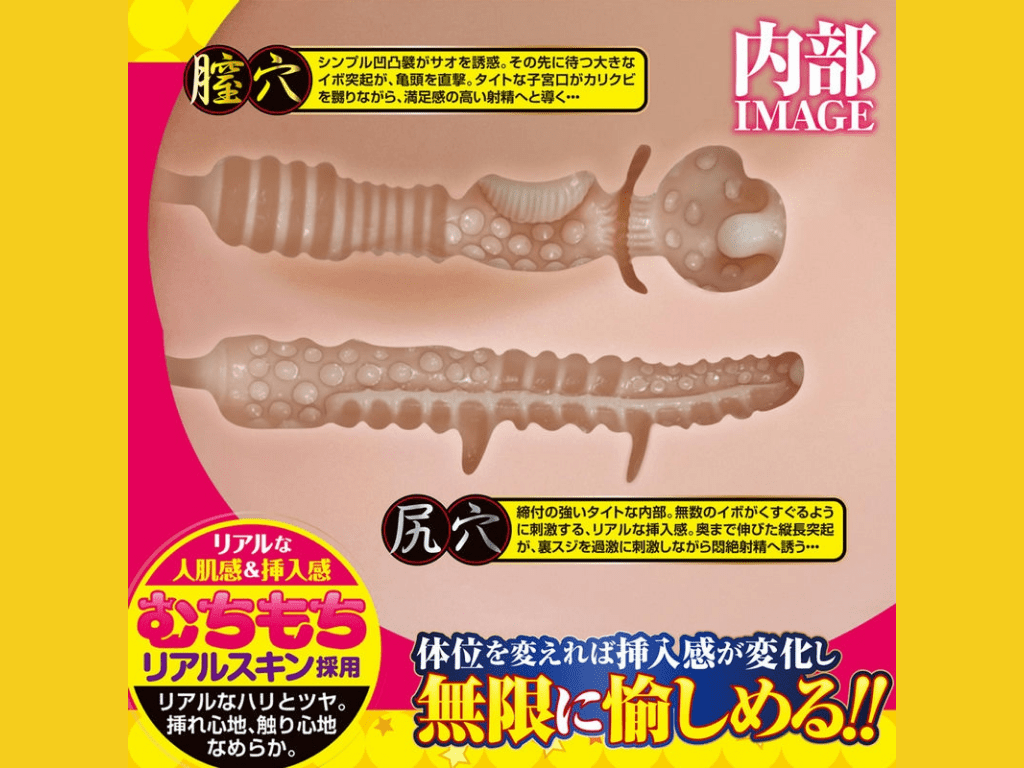 究極女体絶景の内部構造