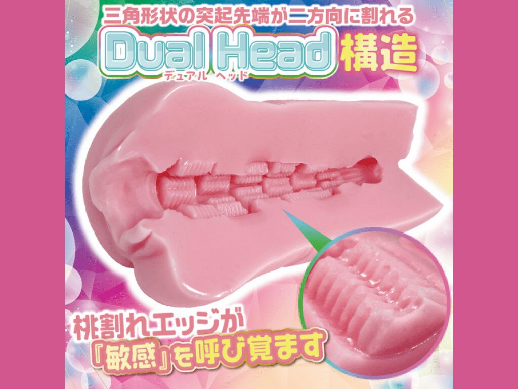 ももわれの内部構造