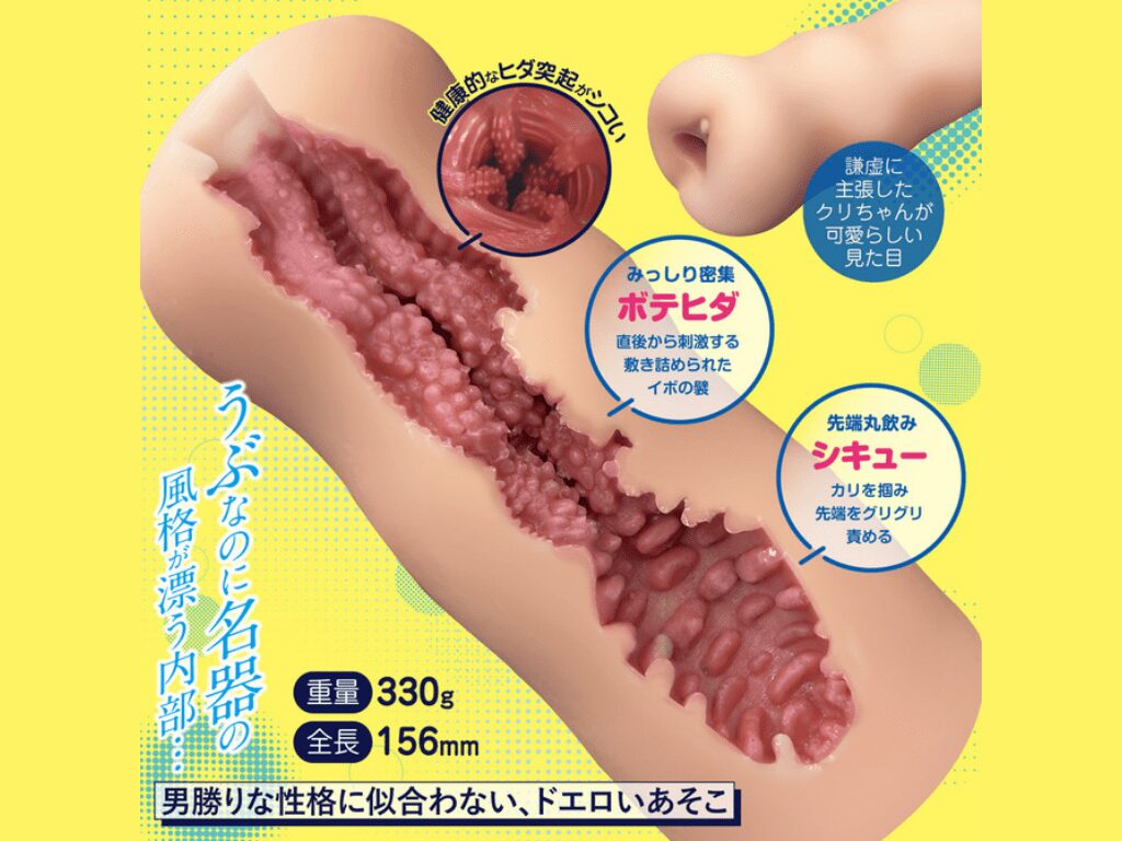 ボクのボーイッシュな彼女の内部構造