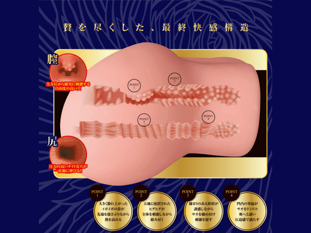 極上 膣肉生陰唇の内部構造