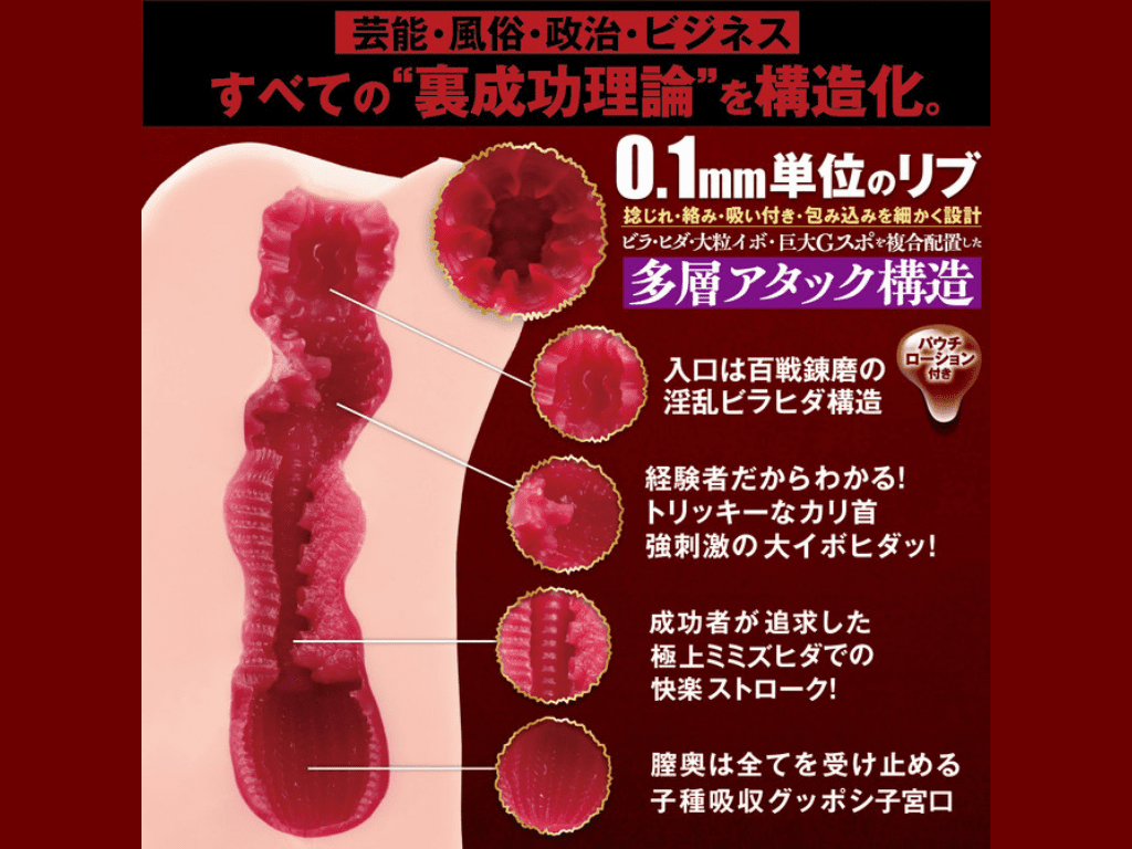 「Z李×枕営業成功者100人」体験調査データから生まれた伝説名器をリアル再現の内部構造
