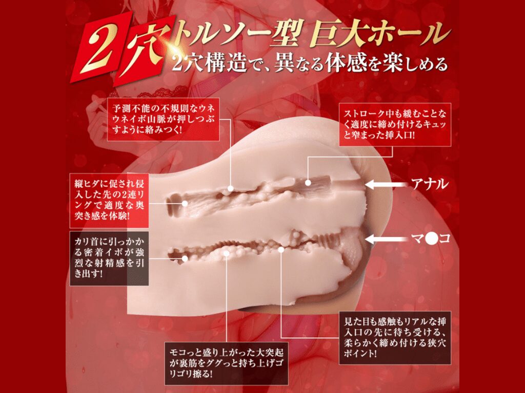 ツインホール パーフェクトヒップの内部構造