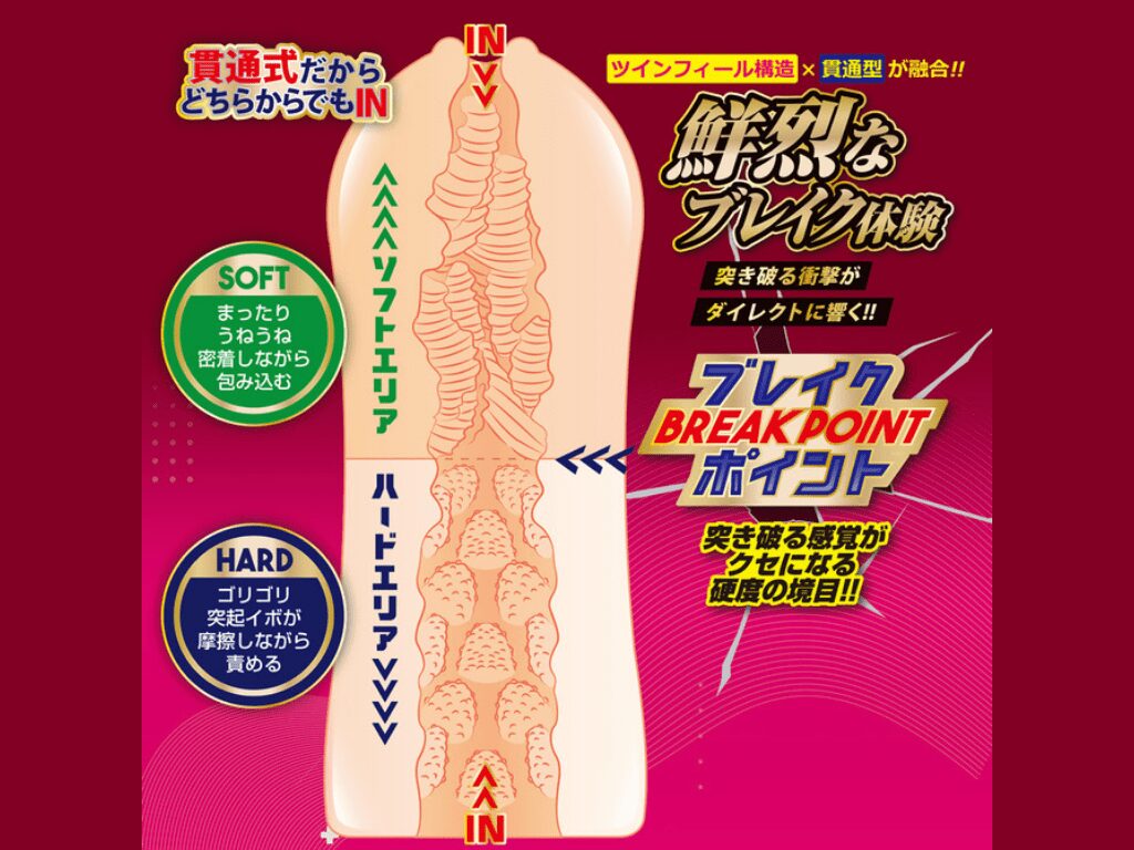 ツインフィニティ ブレイク リズの内部構造