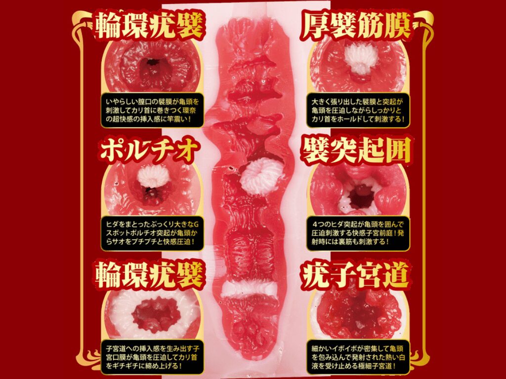 名器の証明 16 特別版 瀬戸環奈の内部構造