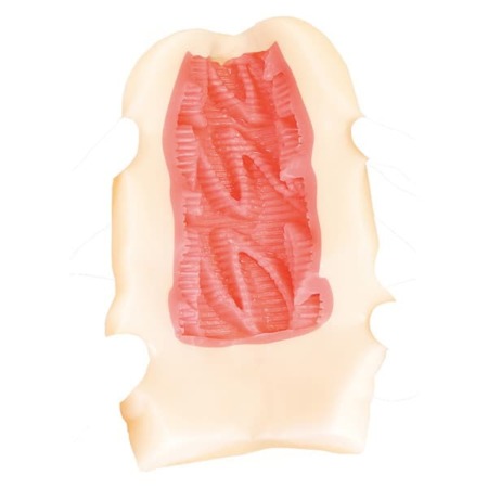 苺ミルク風味な妹のワレメの内部構造