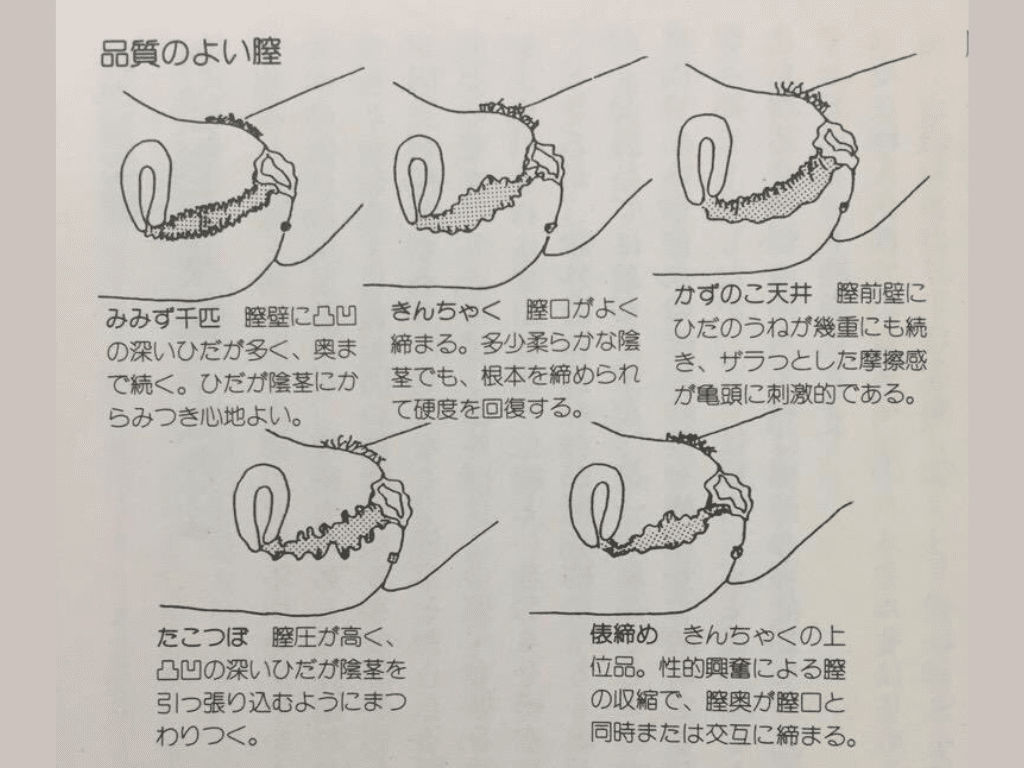 まんこ 名 器