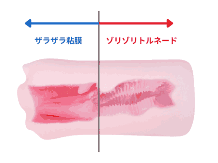 顔面性器 こもの前・後半で刺激がちがう