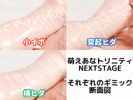 萌えあなトリニティNEXTSTAGEの内部突起の種類