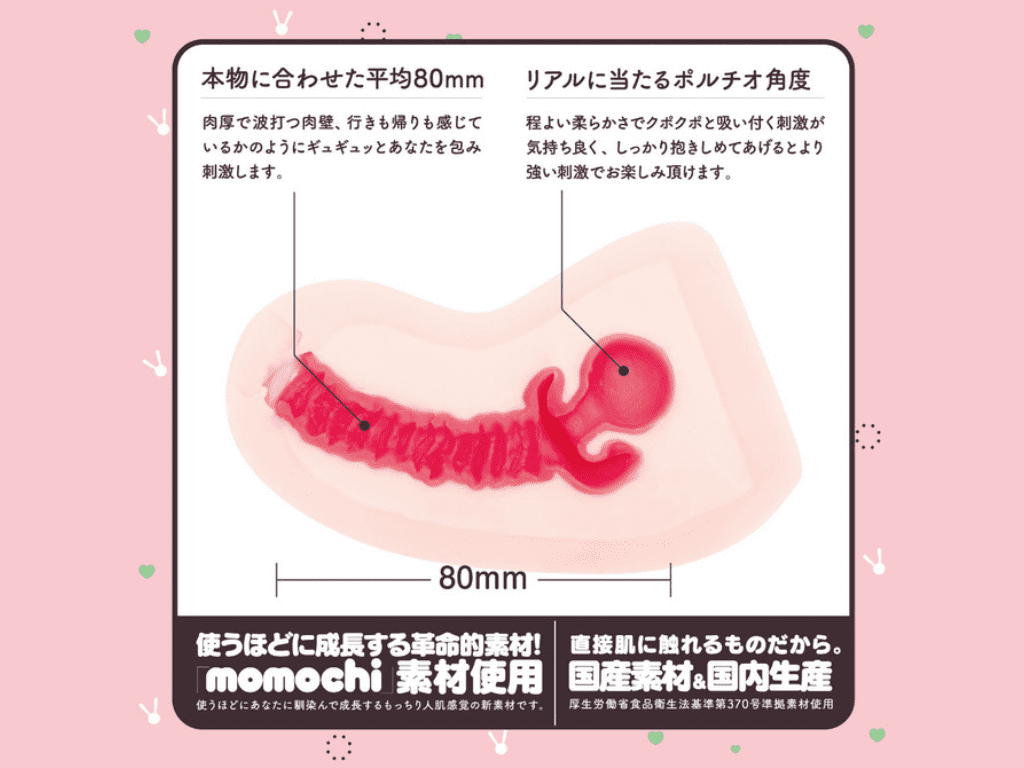 生HON-MONOの内部構造