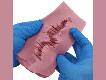 Virgo Phantasma（ヴァルゴ・ファンタズマ）の内部構造