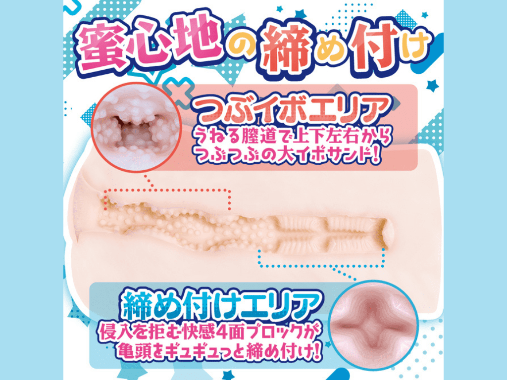 地味系彼女のおねだり発情生活の内部構造