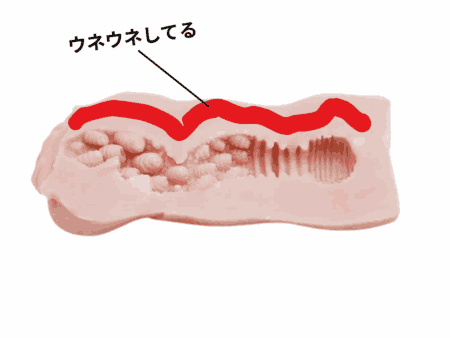 うろこほーるは無次元構造