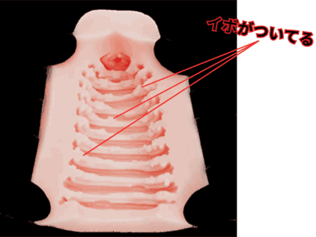 喧嘩上等 Battle Fight Girlの横ヒダ突起にはイボがついてる