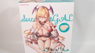 床オナ式ZERO サキュバスGAL【HARD】のパッケージ