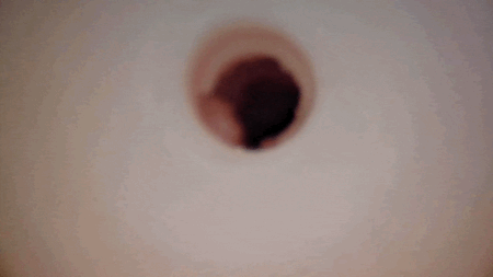 喧嘩上等 Battle Fight Girlの内部カメラ