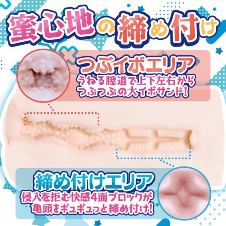 地味系彼女のおねだり発情生活の内部構造