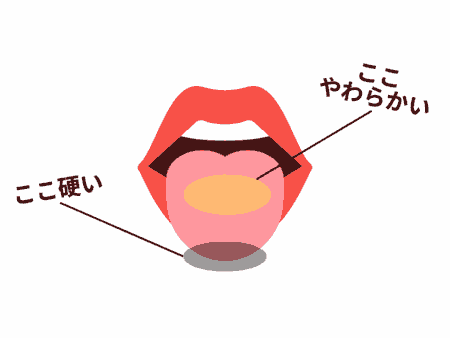 フェラチオのときの舌の硬さ
