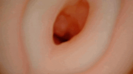 推し出し!レンタルコイビトの内部カメラ
