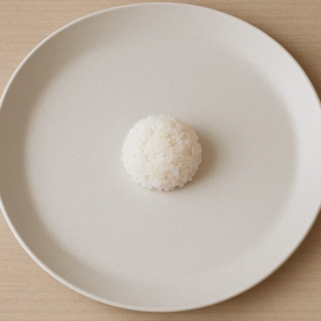 大皿のうえに少ない白ご飯
