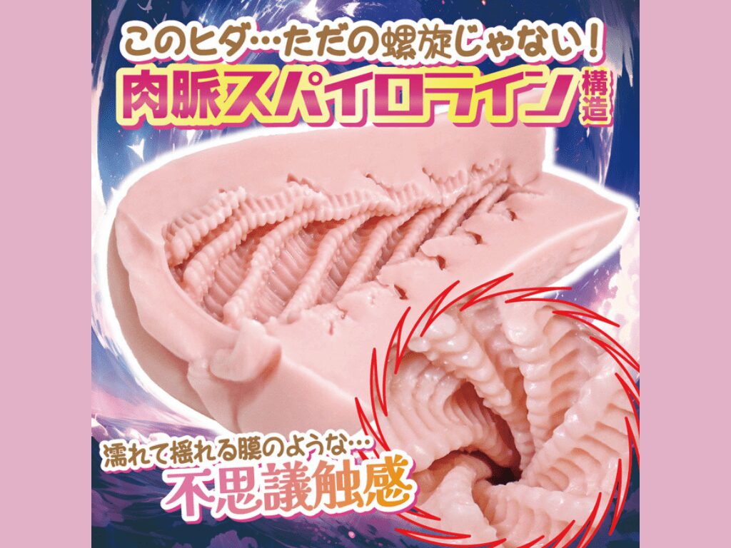 スパイナルスパイラルの内部構造