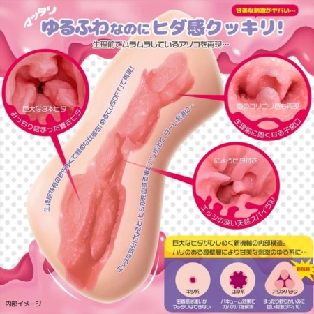 アクメハック ふにふにソフトの内部構造