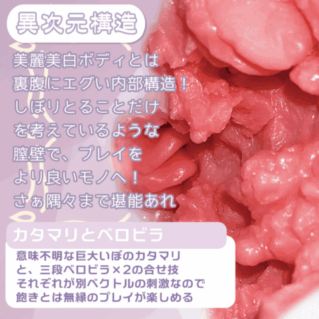もち雪 ベロビラつぼの内部構造