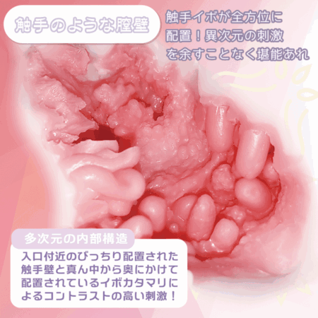 もち雪 からみしょくしゅの内部構造