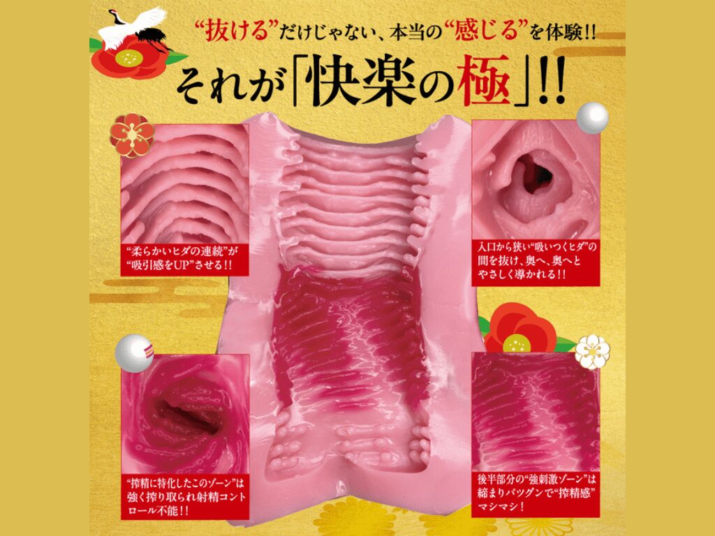 快楽の極 ~KIWAMI~の内部構造