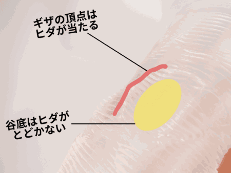 QUEENSの刺激のエッジ性