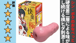 快楽の極 ~KIWAMI~を徹底レビュー