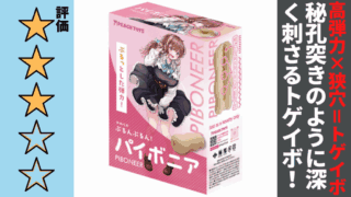 パイボニア PIBONEERを徹底レビュー