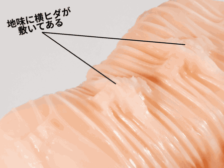 お嬢様の淫穴クロスファイアの十字イボ突起表麺に薄い横ヒダ