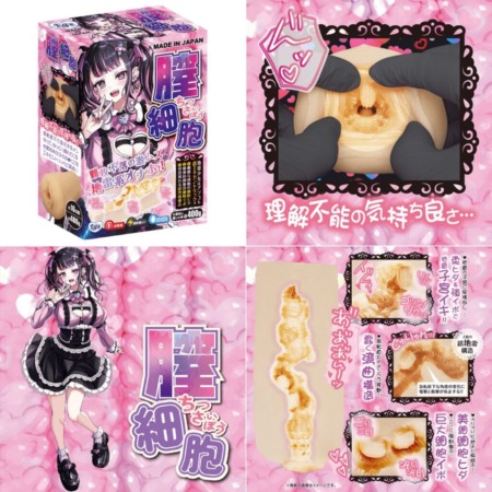 膣細胞の画像まとめ