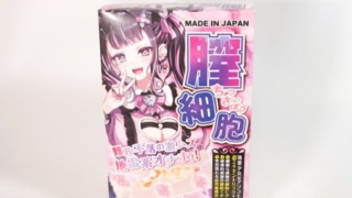 膣細胞のパッケージ