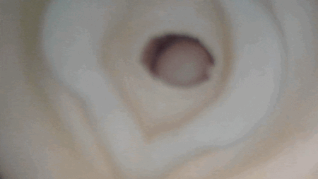 ふわぬる性感ダブルスティンガーの内部カメラ
