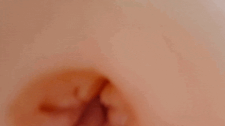 Hamerican Summer Vacationの内部カメラ