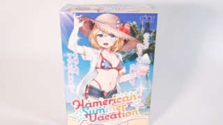 Hamerican Summer Vacationのパッケージ