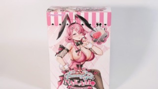 BunnyGalのNAKAMIのパッケージ