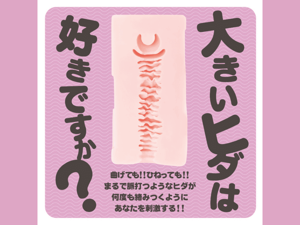 MODAN-I-の内部構造