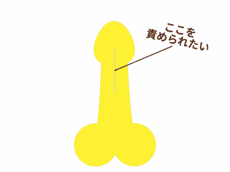 亀頭の裏スジ