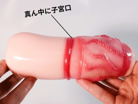 極ヒダにゅるるは中間に子宮口