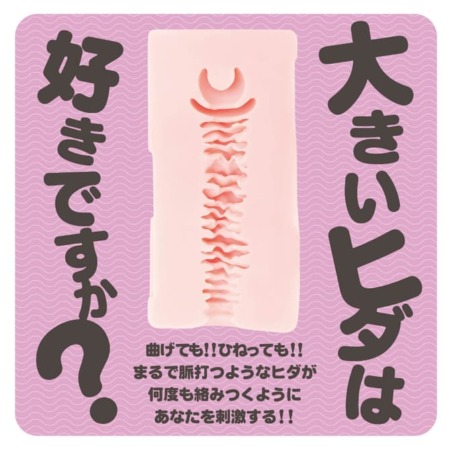 MODAN-I-の内部構造