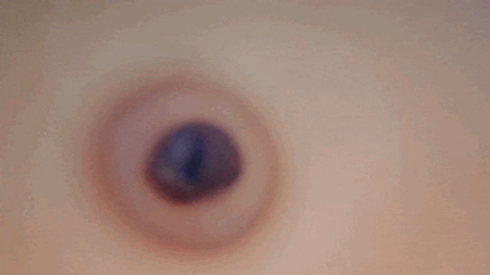 GUGUGU ROOMの内部カメラ