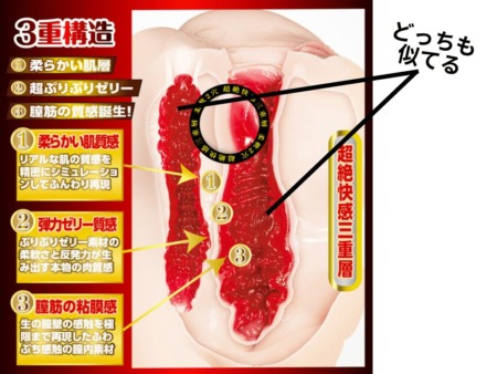 栄誉の名器2 森日向子はヴァギナ・アナルの刺激が一緒