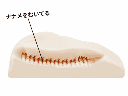 床オナ式ZEROMINI　サキュバニーのイボはナナメをむいてる