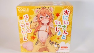 おにいさんといっしょ はじめてのはつたいけんのパッケージ