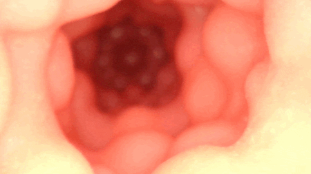 ぷにあなDX ロイドREALの吸引モード