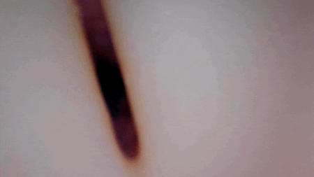 ぷにあなDX ロイドREALの内部カメラ